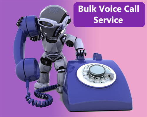 Bulk Voice Call Service